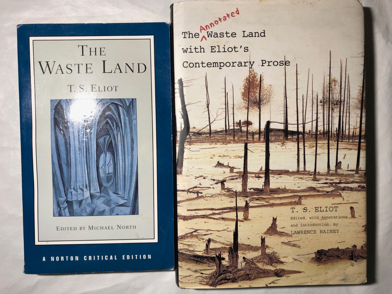 T.S. Eliot’s The Waste Land 2 book bundle