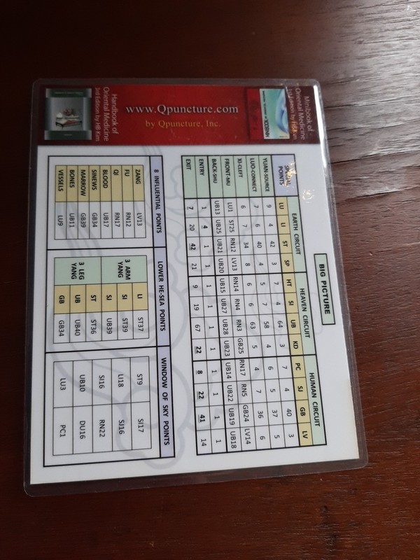 Minibook of Oriental Medicine HB Kim L.Ac 1st Edition 2009 gallery