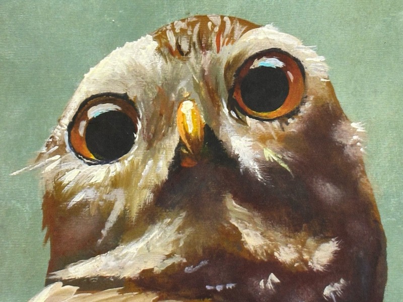 Mincing Mockingbird Vol 1 SIGNED Matt Adrian 1ST EDITION OOP Folly to Assume Owl gallery