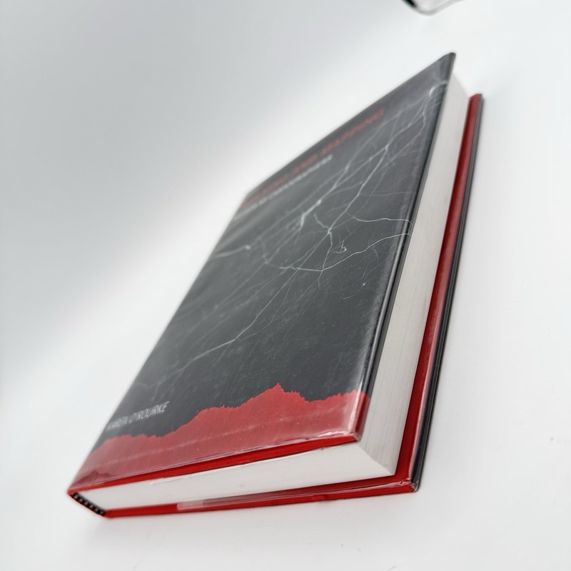 Walking and Mapping: Artists as Cartographers Hardcover 2013 MIT Karen O'Rourke gallery