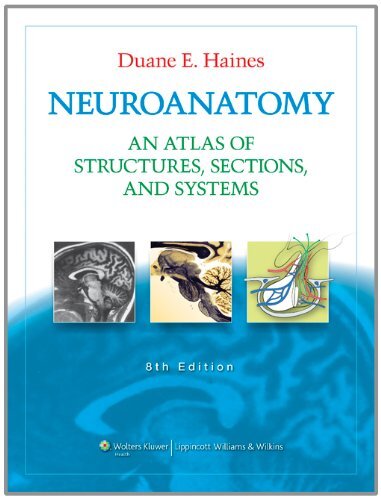 Neuroanatomy Atlas by Duane E Haines