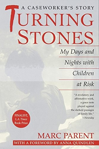 Turning Stones: My Days and Nights with Children at Risk: A Caseworker’s Story