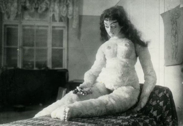 Malevolent Muse: The Life of Alma Mahler Oliver Hilmes Hardcover Dust Jacket gallery