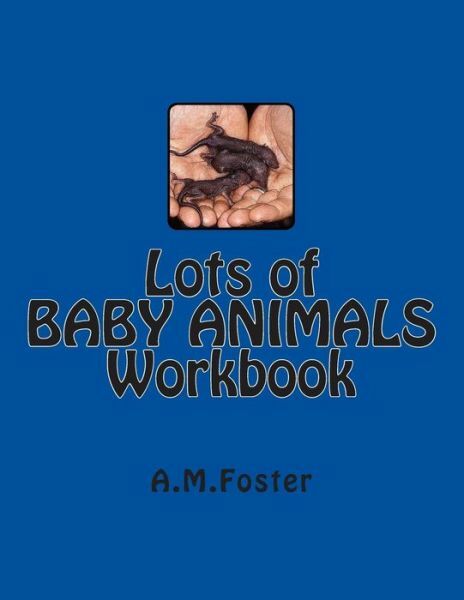 Lots Of Baby Animals Workbook