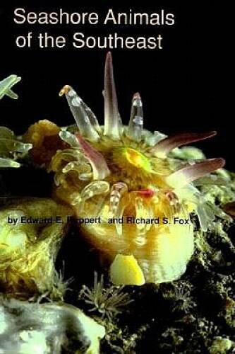 Seashore Animals of the Southeast a Guide to Common Shallow-Water Inverte – GOOD
