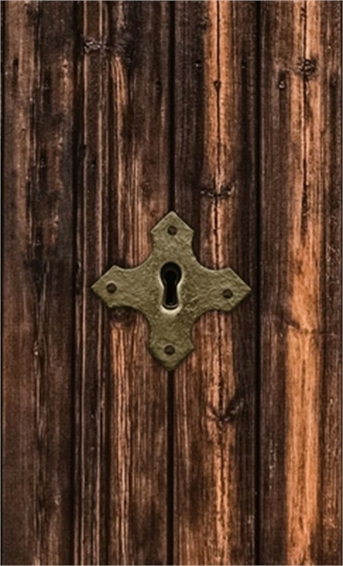 Discrete Password Logbook: “Locked Door” Edition (Hardback or Cased Book)