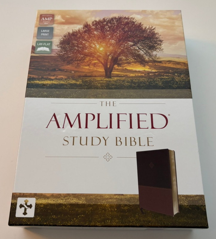 Amplified Study Bible by Zondervan (Book, 2017, Imitation Leather)