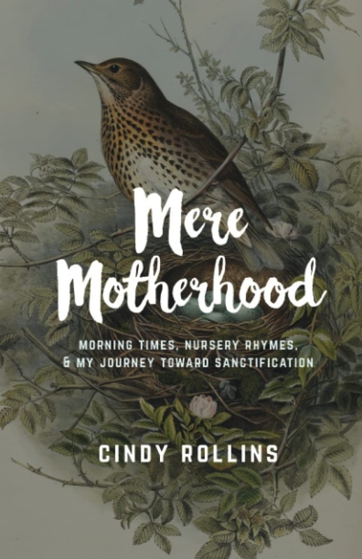 Mere Motherhood: Morning Times, Nursery Rhymes, & My Journey Toward Sanctifi…