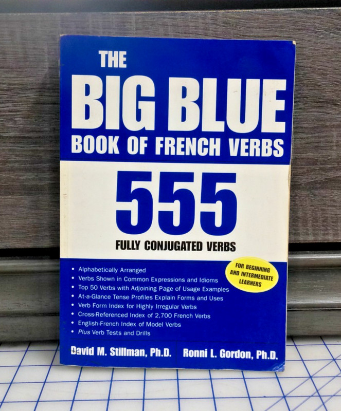 Big Book of Verbs Ser.: The Big Blue Book of French Verbs : 555 Fully Conjugated