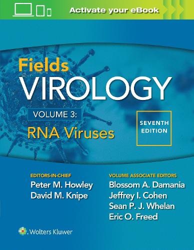 Sean Whelan, Jeffrey L. Cohen Peter M. Howley Eric O. Fields Virology (Hardback)
