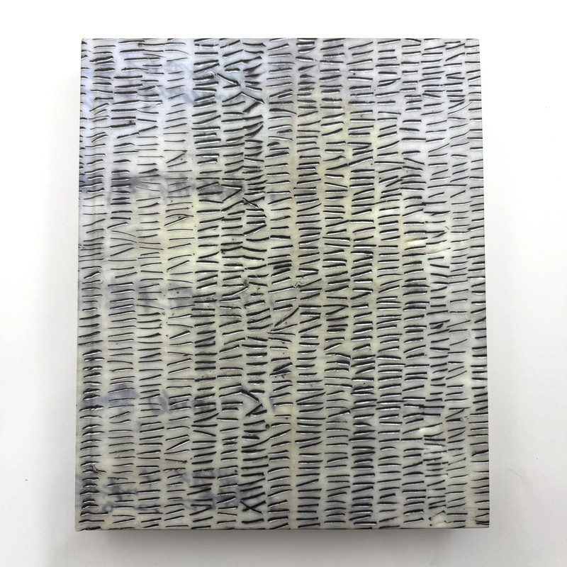 108 Catherine Eaton Skinner 2016 Hardcover First Edition Radius Books