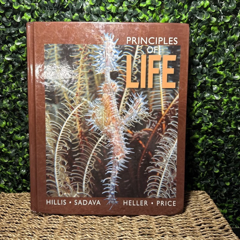 PRINCIPLES OF LIFE HIGH SCHOOL EDITION NEW In Plastic Biology AP Science Hillis
