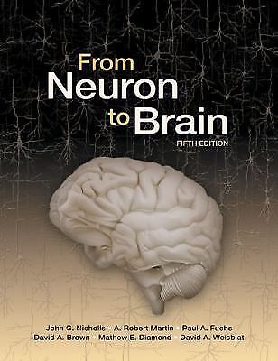 From Neuron to Brain Nicholls, John G., Martin, A. Robert, Brown, David A., Dia