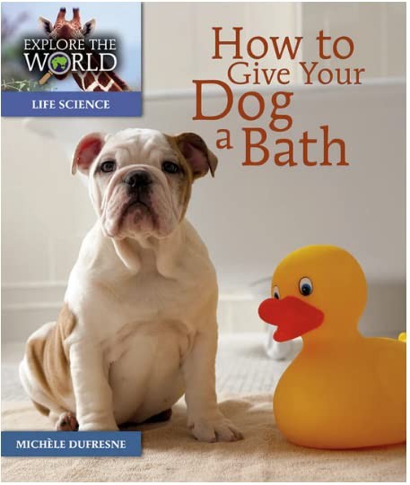 How to Give Your Dog a Bath