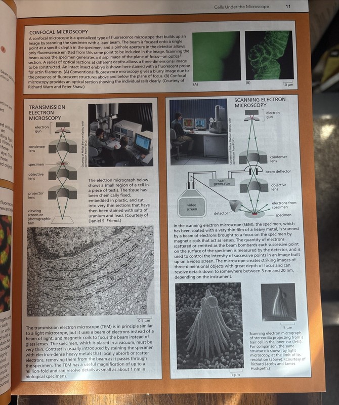 Essential Cell Biology 4th Edition, Hard Cover, Used gallery