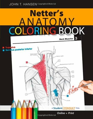 Netter’s Anatomy Coloring Book by John Hansen