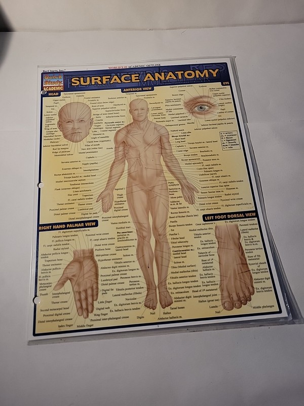 Surface Anatomy by Vincent Perez (2003, Book, Other)