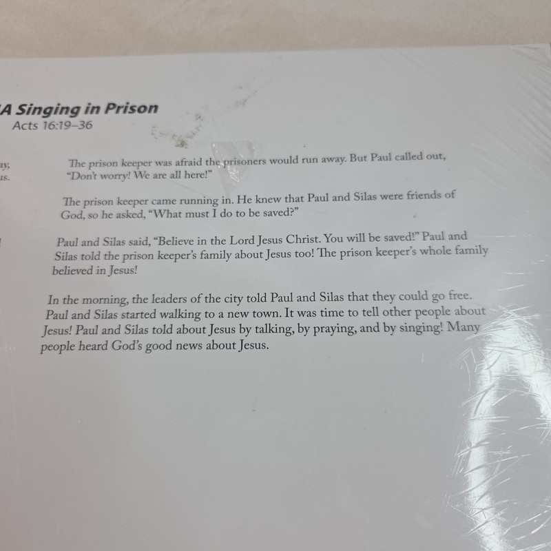 ACSI Purposeful Design Bible Preschool Visual Aids Large Cards 17 x 11" School gallery