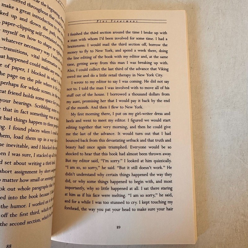 Bird by Bird:Some Instructions on Writing and Life by Anne Lamott gallery