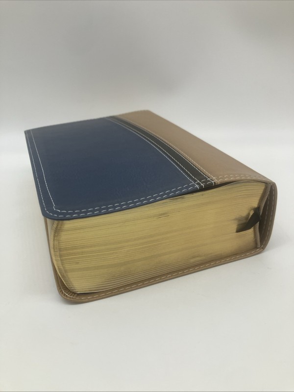 NIV study bible Italian leather duo tone tan blue 2011 edition Zondervan gallery