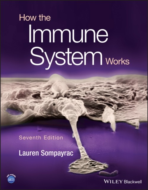 HOW THE IMMUNE SYSTEM WORKS by SOMPAYRAC, LAUREN M Paperback Self Help Business