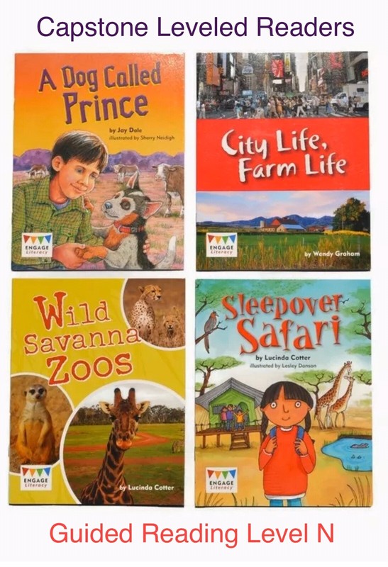 CAPSTONE Grade 2 * Guided Reading Level N * Leveled Readers Books Lot Homeschool