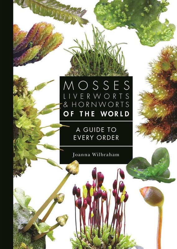 Mosses, Liverworts, and Hornworts of the World: A Guide to Every Order by Joanna