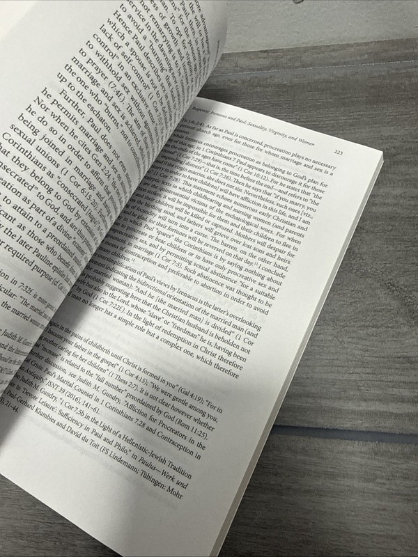 Irenaeus and Paul by Dr David E. Wilhite (English) Paperback Book gallery