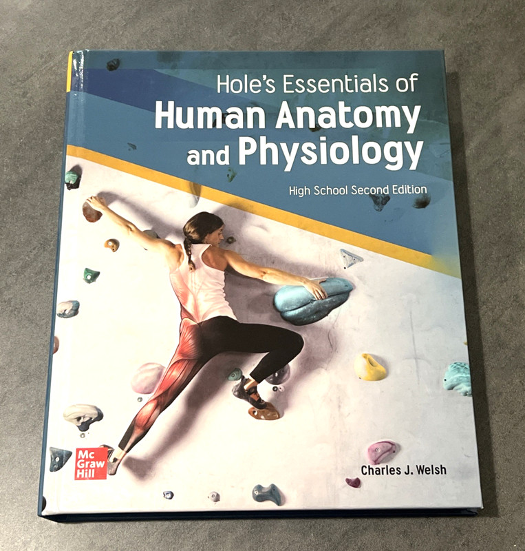 Hole’s Essentials of Anatomy and Physiology High School 2nd Edition by Welsh