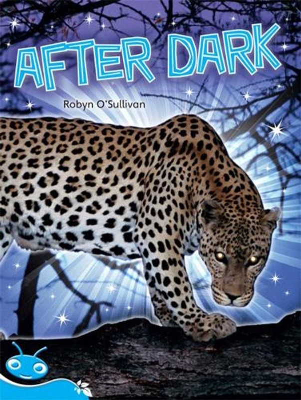 Bug Club Level 18 – Turquoise: After Dark (Reading Level 18/F&P Level J) by Roby