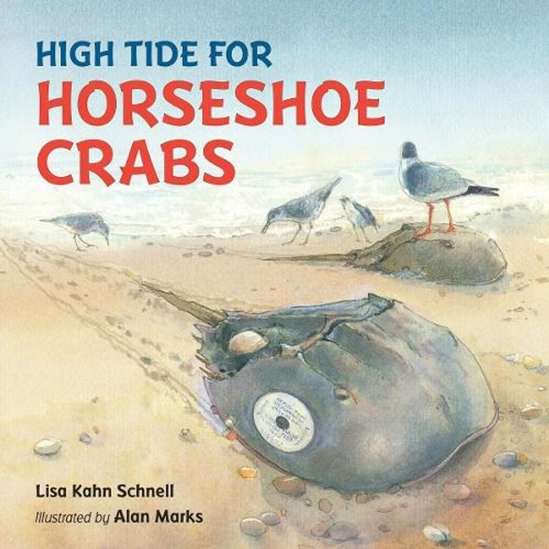 High Tide for Horseshoe Crabs by Lisa Kahn Schnell (English) Hardcover Book