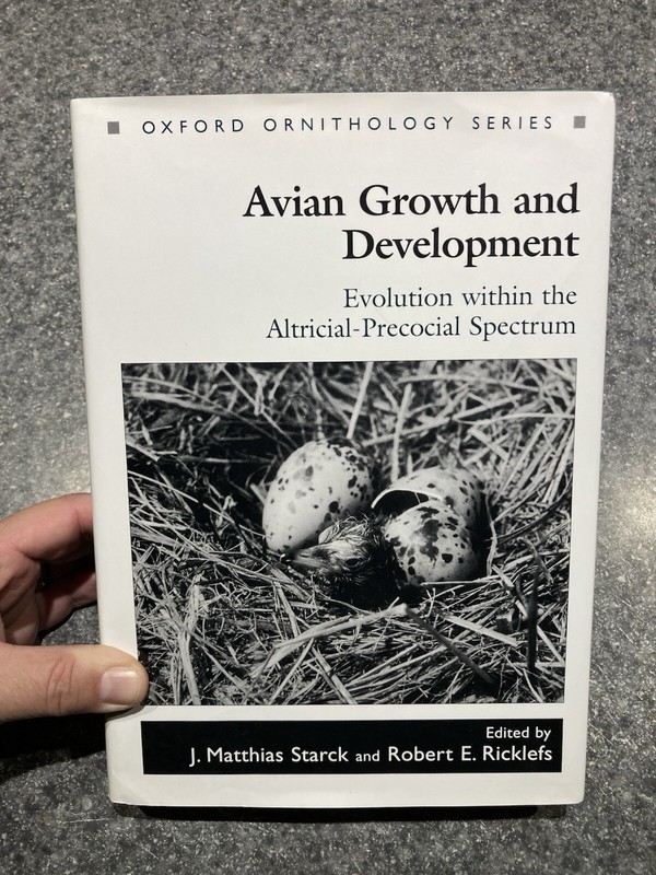 Oxford Ornithology Series Avian Growth & Development Starck Ricklefs HC DC 1998