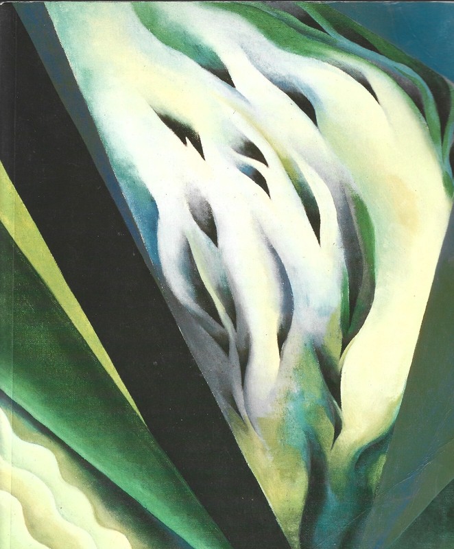 Art : A History of Painting, Sculpture, Architecture Vol 2 by Frederick N. Hartt