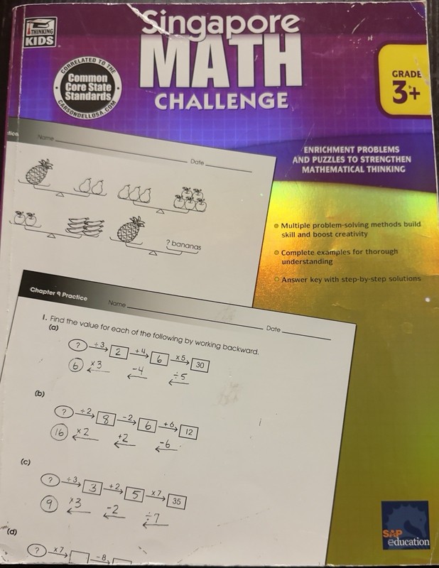 Singapore Math Challenge Primary Math Workbook (Homeschool Math) Excellent Cond