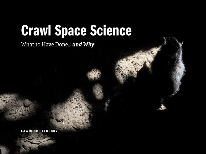 Crawl Space Science: What to Have Done…and Why