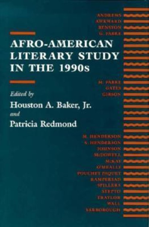 Afro-American Literary Study in the 1990s Hardcover