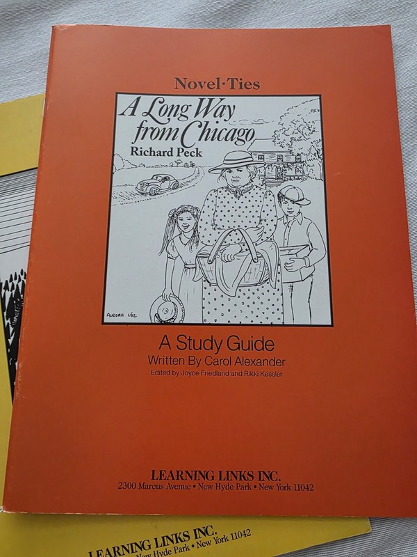 Novel Ties Study Guides Homeschool Lot Of 8 Giver Fox Hatchet Big Wave Tutoring gallery