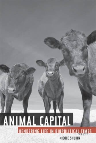 Animal Capital: Rendering Life in Biopolitical Times (Pos – VERY GOOD