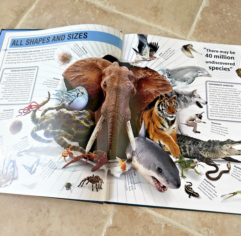 Smithsonian Superfacts Animals HC Book DK Publishing 2024 Lg Reference Decor EC gallery