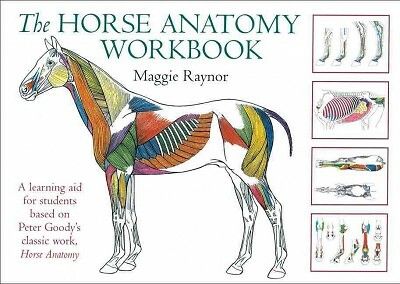 Horse Anatomy Workbook : A Learning Aid for Students Based on Peter Goody’s C…
