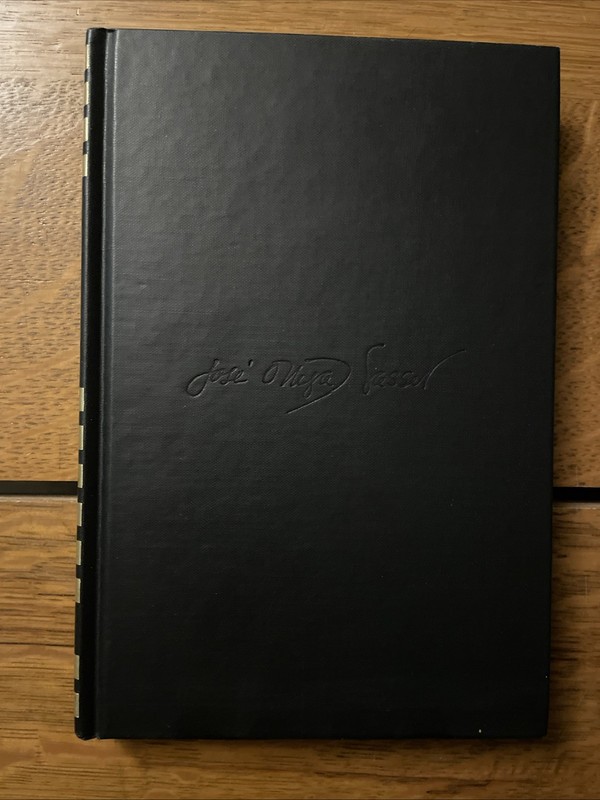 José Ortega Y Gasset: Meditations On Quixote HCDJ 1963 Norton gallery