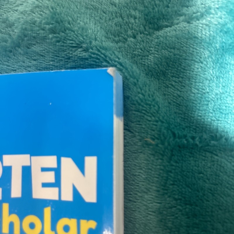 Big Kindergarten Scholar Learning Teaching Home School Book Workbook (©2022) gallery
