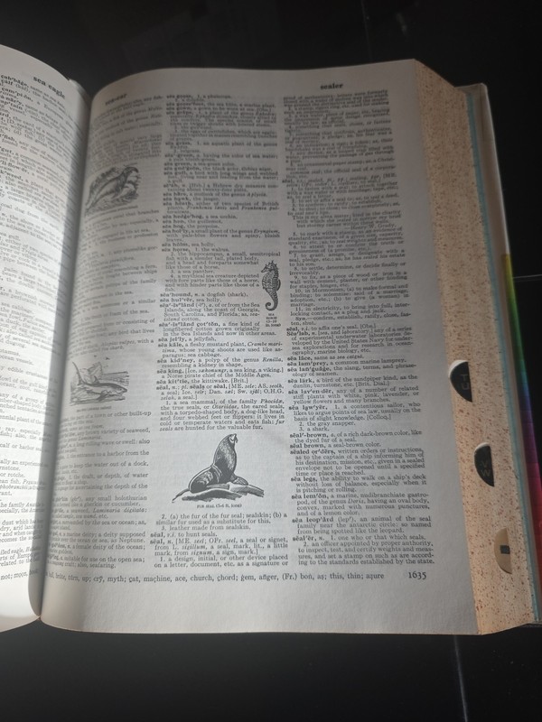 Dictionary Unabridged Second Edition Deluxe Color Websters Twentieth Century gallery