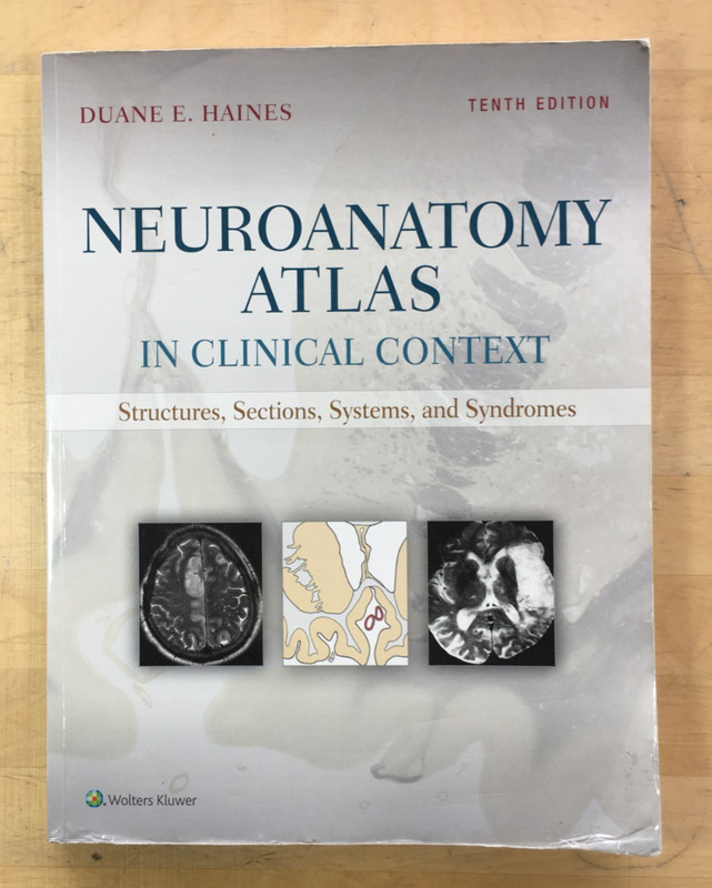Neuroanatomy Atlas in Clinical Context 10th Ed. by Duane Haines – Paperback Good