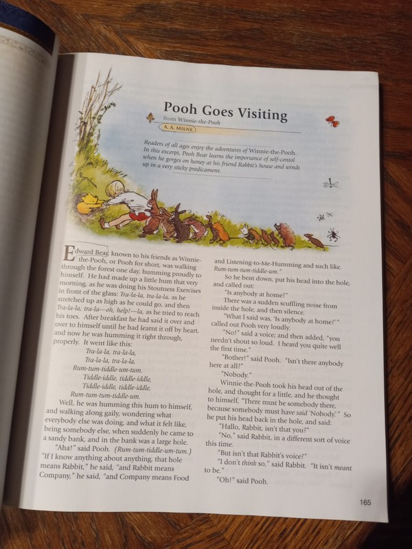 A Beka Book Homeschool 9th Grade Themes in Literature Student Reading Book VGood gallery