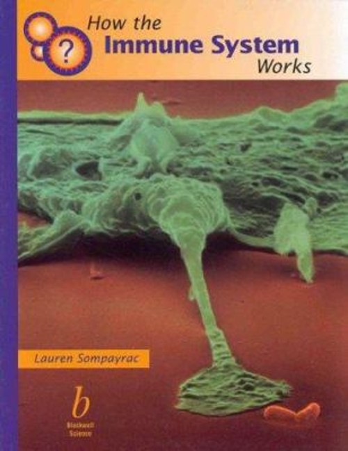 How the Immune System Works Paperback Lauren M. Sompayrac