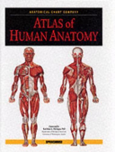 Atlas of Human Anatomy by Springhouse