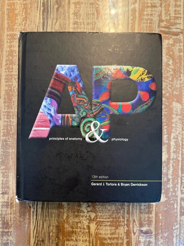 Principles of Anatomy and Physiology – Hardcover By Tortora, Gerard J – GOOD