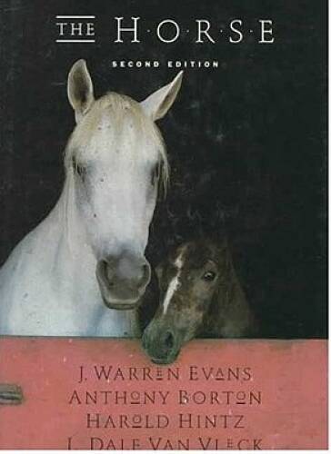 The Horse – Hardcover By J Warren Evans – VERY GOOD