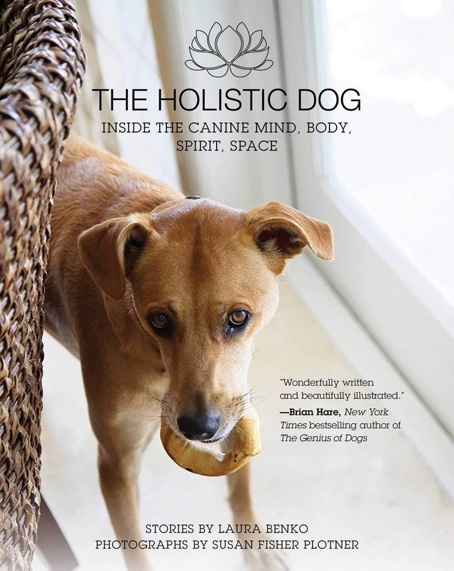 The Holistic Dog: Inside the Canine Mind, Body, Spirit, Space By
